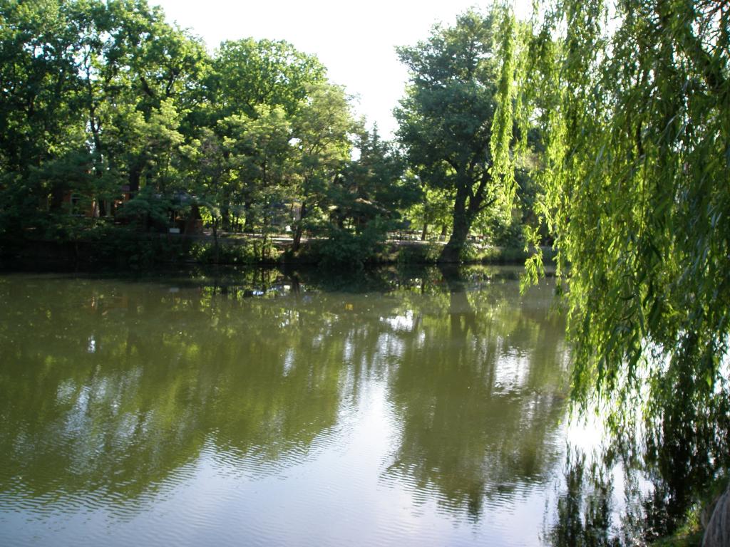 A sunny morning in a park