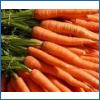 Carrots